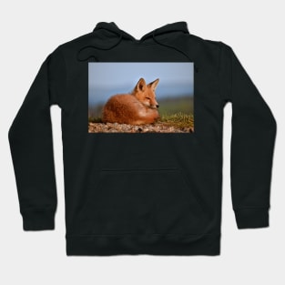 Alert Red Fox Kit Hoodie